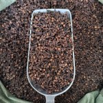 Premium Cloves Manufacturer - China Wholesale Spice