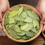 Bay Leaves Supplier - Wholesale Food Spice