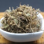 Centella Asiatica Factory - Natural Herbs Wholesales