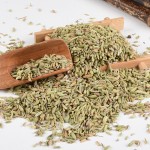 Fennel Seeds Supplier - Wholesale Natural Seasoning