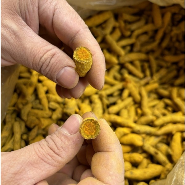 Organic Turmeric Factory - Bulk Wholesale Natural