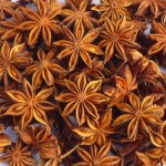 Star Aniseed Supplier - Guangxi Natural Hot Seller