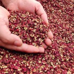 Red Sichuan Pepper Factory - Wholesale Hot Pot Spice