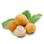 Dried Longan Supplier - Natural Sweet Organic