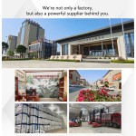 Gingko Leaf Supplier - Good Price Spice Herb