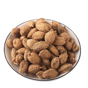 Amomum Villosum Supplier - China Spice Fruit
