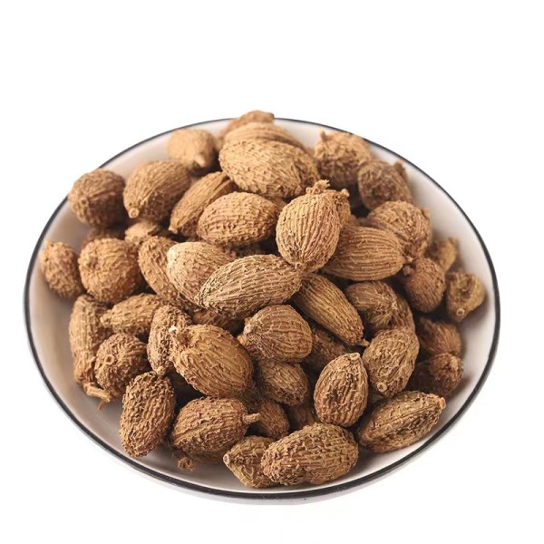 Amomum Villosum Supplier - China Spice Fruit