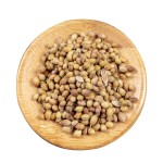 Coriander Seeds Manufacturer - Bulk Natural Herbs