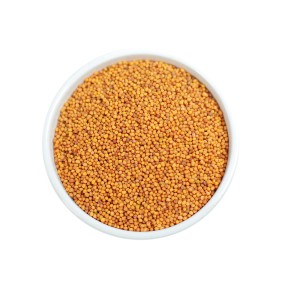 Yellow Mustard Seeds Factory - Single Spices Seasoning