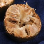 Siraitia Grosvenori Manufacturer - Natural Chinese Fruit