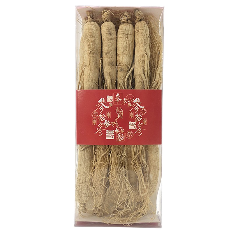 Ginseng Root Manufacturer - Natural Wild Panax