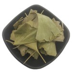 Ginkgo Leaf Manufacturer - Wholesale Natural Herbs