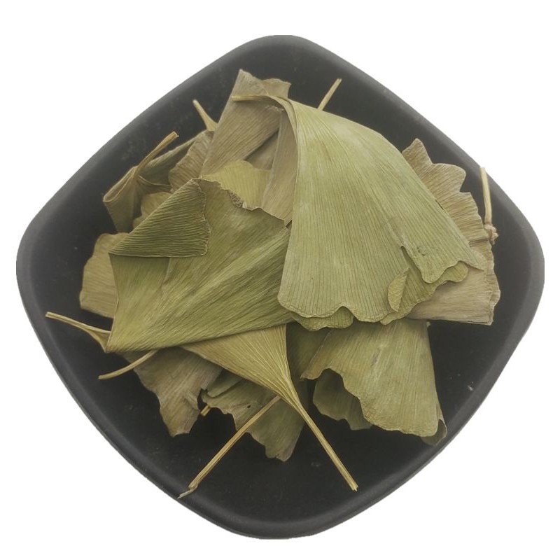 Ginkgo Leaf Manufacturer - Wholesale Natural Herbs