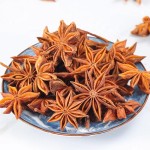 Common Star Anise Supplier - Customized Spices New