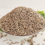 Cumin Seeds Manufacturer - Natural Barbecue Seasoning