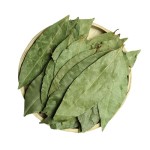 Bay Leaf Supplier - Wholesale Seasoning Spice