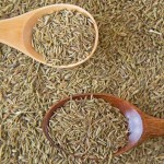 Cumin Seeds Factory - China Suppliers Organic