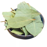 Laurel Leaves Supplier - Nature Color Single Spice