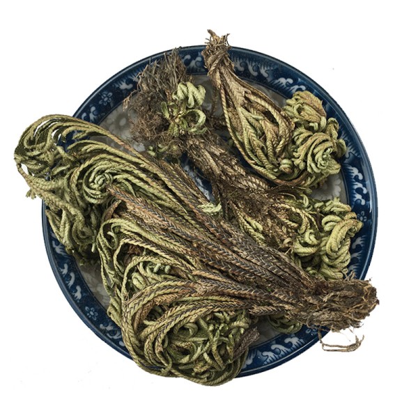 Resurrection Plant Manufacturer - Wholesale Dried Herba