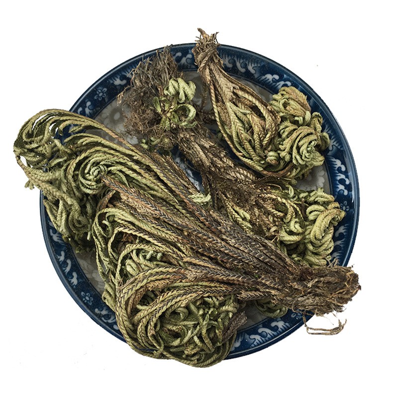 Resurrection Plant Manufacturer - Wholesale Dried Herba