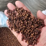Premium Cloves Manufacturer - China Wholesale Spice