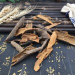 Cassia Cinnamon Supplier - Broken Spice Best Price