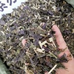 Purple Perilla Factory - Whole Herb Spice