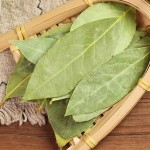 Bay Leaves Supplier - Wholesale Food Spice