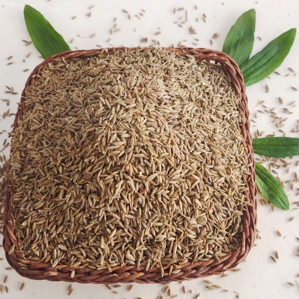 Whole Cumin Supplier - Organic Seasoning Bulk