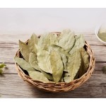 Bay Leaf Manufacturer - Cooking Food Spice