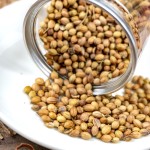 Coriander Seed Supplier - Factory Price Spice