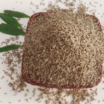 Cumin Seeds Manufacturer - Natural Barbecue Seasoning