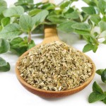 Oregano Leaves Supplier - Premium Quality Pizza
