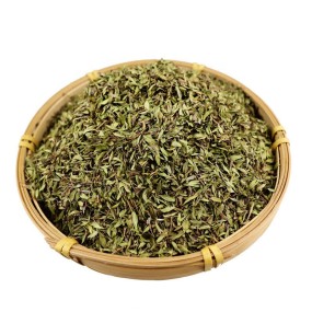 Dried Thyme Supplier - Wholesale Natural Green