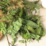 Mint Leaves Tea Supplier - Bulk Dried Herb