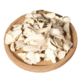 Ginger Slices Factory - Healthy Low Price