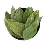 Bay Leaf Supplier - Wholesale Seasoning Spice