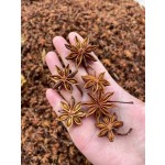 Star Anise Granules Manufacturer - Raw Processed Spice