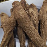 Saussurea Costus Supplier - Low Price Herbs Spice