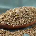 Dried Cumin Seeds Supplier - Good Quality Seasoning