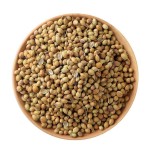 Coriander Seeds Manufacturer - Organic Spices Seasoning