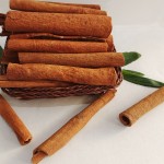Cassia Sticks Factory - Dried Spices Supplier