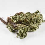 Resurrection Plant Manufacturer - Wholesale Dried Herba