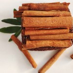 Cassia Sticks Factory - Dried Spices Supplier