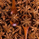 Star Anise Seeds Factory - Customized Whole Spice