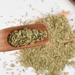 Dried Fennel Seeds Manufacturer - Customizable Organic