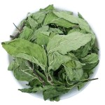 Mint Leaves Tea Supplier - Bulk Dried Herb