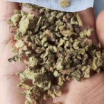 Mullein Leaf Supplier - Natural Whole Dried Herb