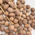 Dried Nutmeg Manufacturer - ABC Food Grade Spice