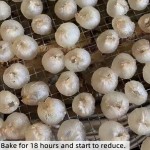 Dried Longan Supplier - Wholesale Peeled Fruit Meat